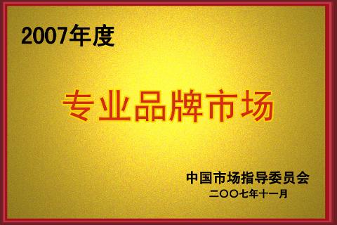 专业品牌市场（2007）