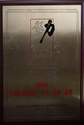 中国行业品牌（2009）