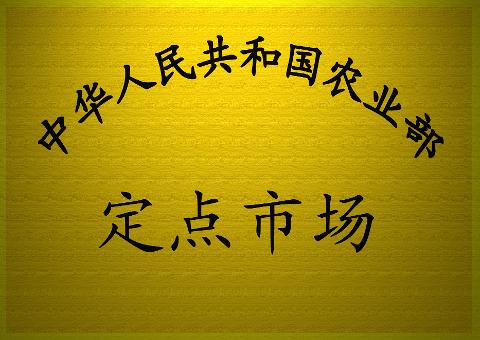 定点市场