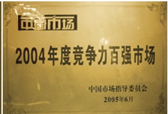 竞争力100强（2004）