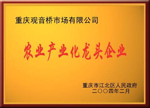 龙头企业（2004）