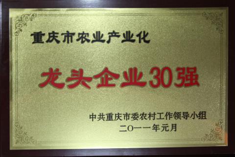 2011龙头企业30强