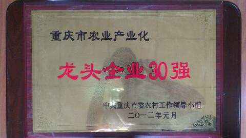 龙头企业30强（2011）