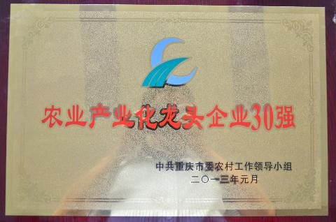 农业产业化龙头企业30强（2012）