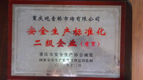 安全生产标准化二级企业（2012）