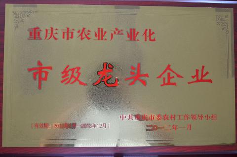 市级龙头企业（2012）