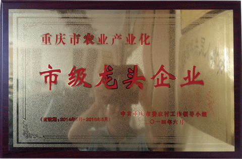 市级龙头企业（2014）