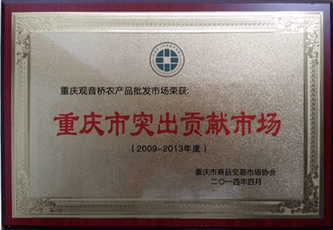 突出贡献市场（2009-2013）